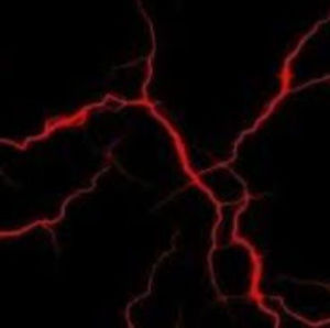 Meet your Posher, Jade